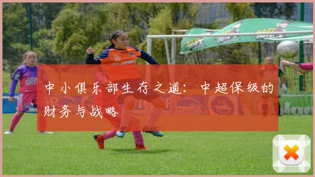 中小俱乐部生存之道：中超保级的财务与战略