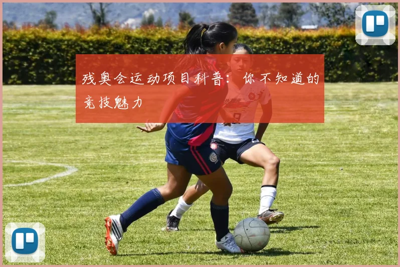 残奥会运动项目科普:你不知道的竞技魅力