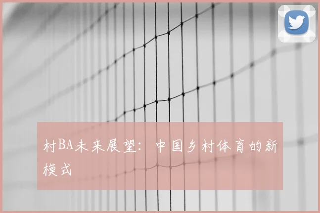 村BA未来展望：中国乡村体育的新模式