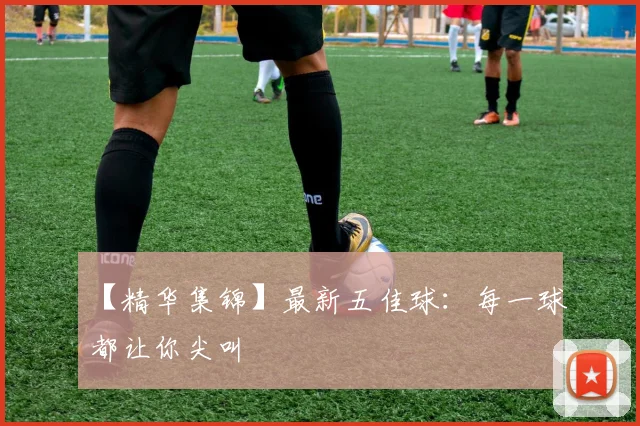 【精华集锦】最新五佳球：每一球都让你尖叫